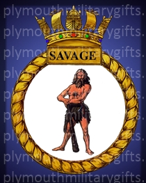 HMS Savage Magnet